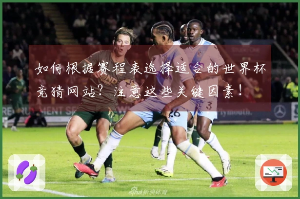 如何根据赛程表选择适合的世界杯竞猜网站？注意这些关键因素！