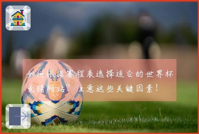 如何根据赛程表选择适合的世界杯竞猜网站？注意这些关键因素！