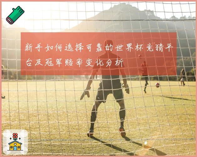 新手如何选择可靠的世界杯竞猜平台及冠军赔率变化分析